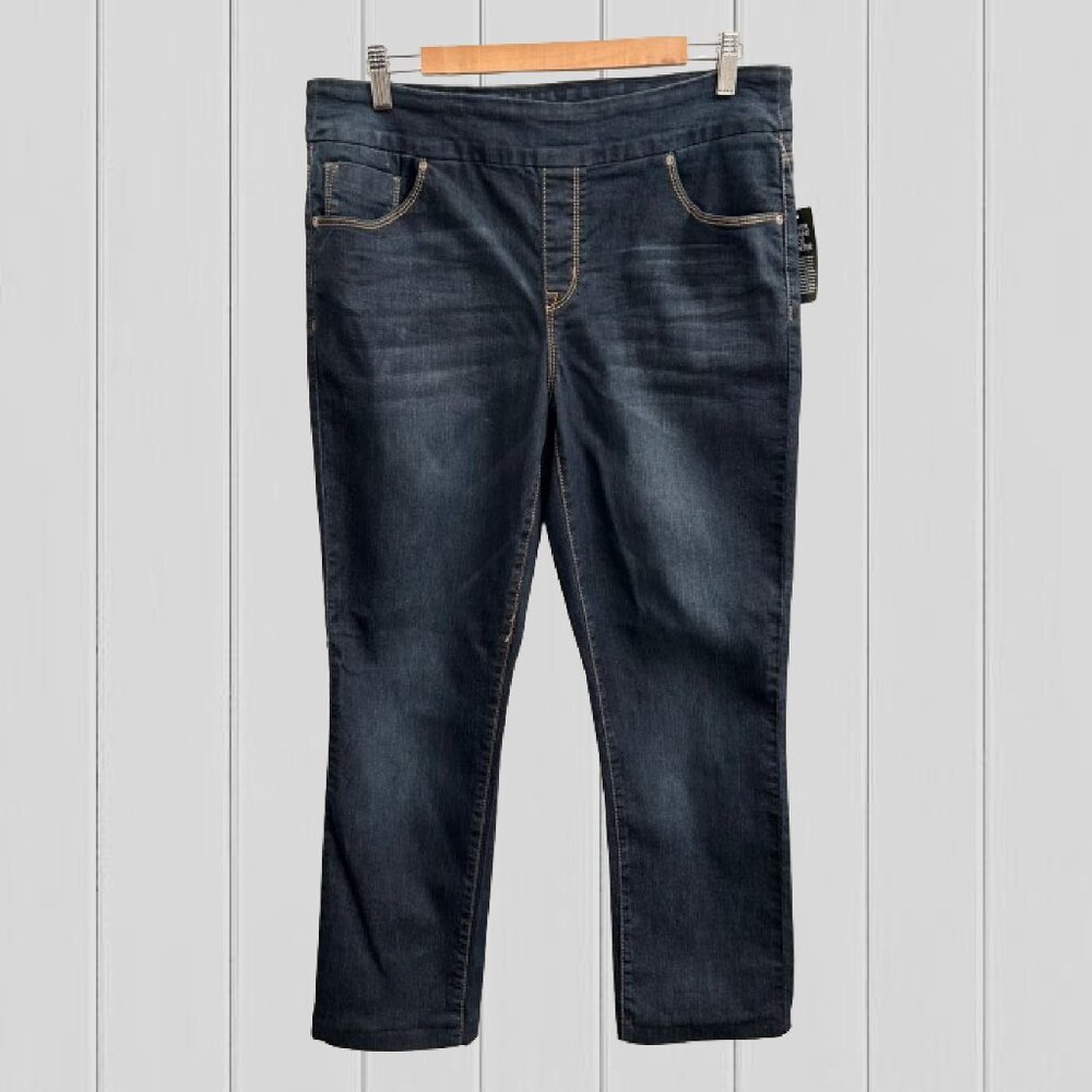 REITMANS R Stretch Pull On Blue Jeans (Size 32)(NWT)